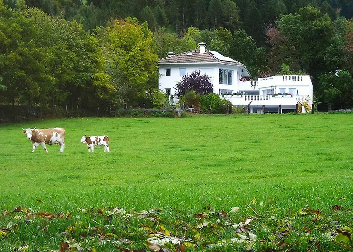 Appartamento Fricks Dölsach